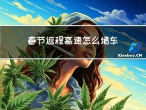 春节返程高速怎么堵车