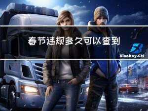 春节违规多久可以查到报告