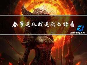 春节送礼时送什么好看