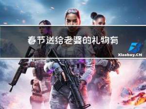 春节送给老婆的礼物有哪些