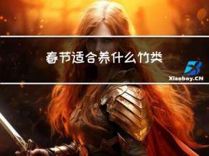 春节适合养什么竹类