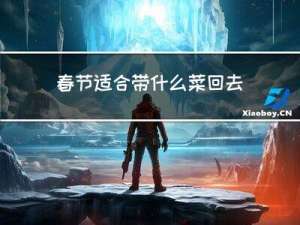 春节适合带什么菜回去