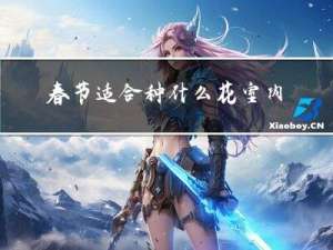 春节适合种什么花室内养