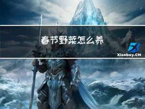 春节野菜怎么养