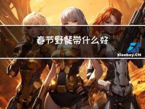 春节野餐带什么好