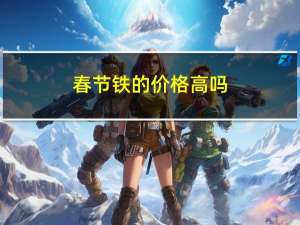 春节铁的价格高吗