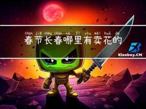 春节长春哪里有卖花的