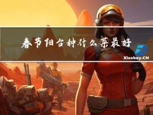 春节阳台种什么菜最好