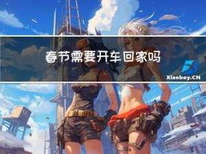 春节需要开车回家吗