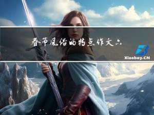 春节风俗的特点作文六百字