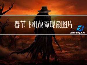 春节飞机故障现象图片