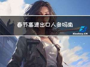 春节高速出口人多吗南京