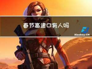 春节高速口有人吗