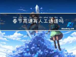 春节高速有人工通道吗