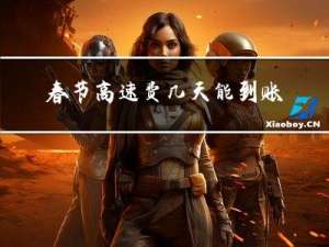 春节高速费几天能到账