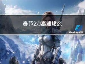 春节 高速堵么