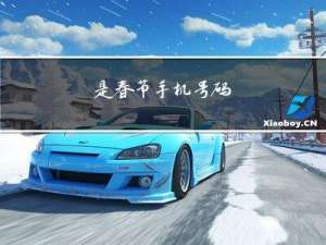 是春节手机号码