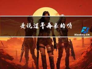 是说过年再来的吗