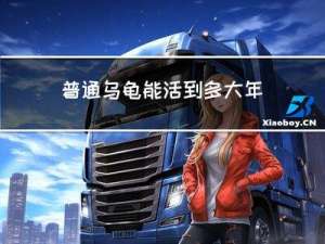 普通乌龟能活到多大年龄