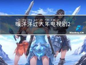 暖洋洋过大年电视剧 剧情