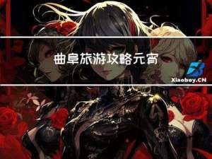 曲阜旅游攻略元宵