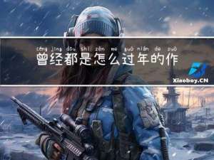曾经都是怎么过年的作文