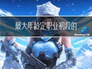 最大年龄定职业初段的