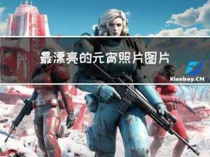 最漂亮的元宵照片图片