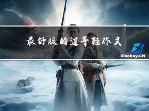 最舒服的过年鞋作文