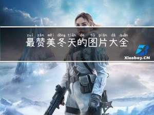 最赞美冬天的图片大全