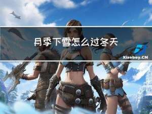 月季下雪怎么过冬天