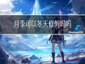 月季可以冬天修剪吗吗