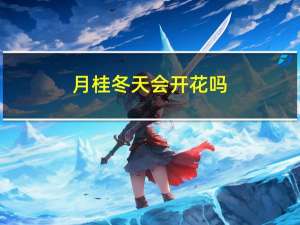 月桂冬天会开花吗