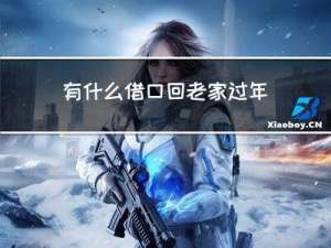 有什么借口回老家过年