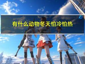 有什么动物冬天怕冷怕热