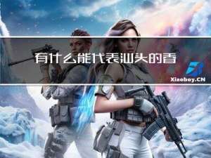 有什么能代表汕头的春节