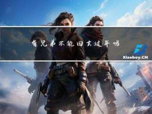 有兄弟不能回去过年吗