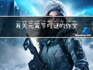 有关元宵节灯谜的作文英语