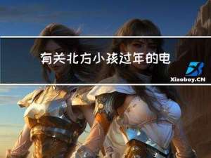 有关北方小孩过年的电影