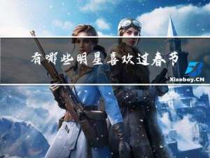 有哪些明星喜欢过春节作文