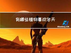 有哪些植物喜欢冬天