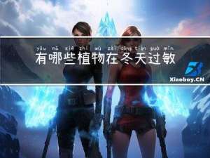 有哪些植物在冬天过敏