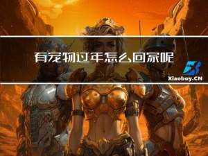 有宠物过年怎么回家呢