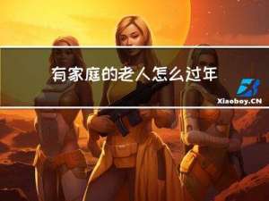 有家庭的老人怎么过年回家