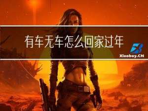 有车无车怎么回家过年假