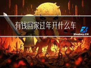 有钱回家过年开什么车