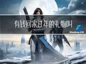 有钱回家过年的礼物叫什么