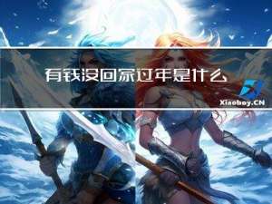有钱没回家过年是什么年