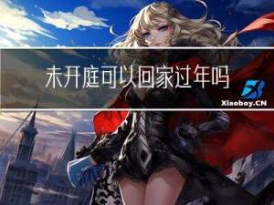 未开庭可以回家过年吗