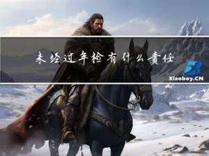 未经过年检有什么责任